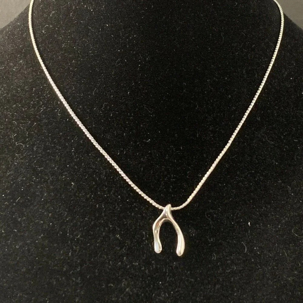 Sentiment Charm Necklace- Wishbone